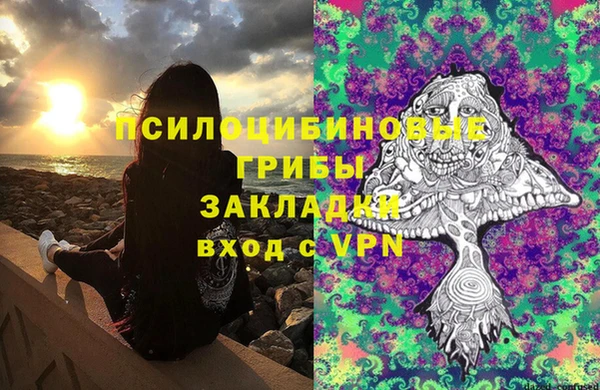 apvp Вяземский