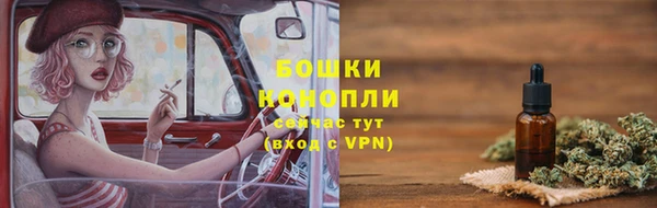 apvp Вяземский