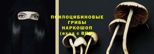 apvp Вяземский