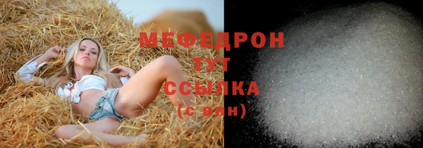 apvp Вяземский