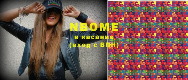apvp Вяземский