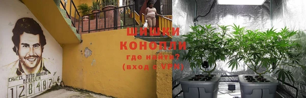 apvp Вяземский