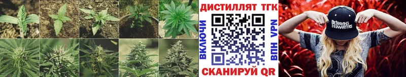 ТГК гашишное масло Коломна