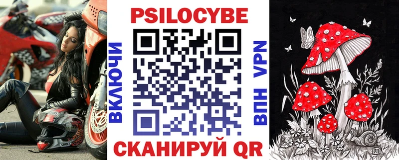 Псилоцибиновые грибы мухоморы  ссылка на мегу онион  Коломна  наркошоп 